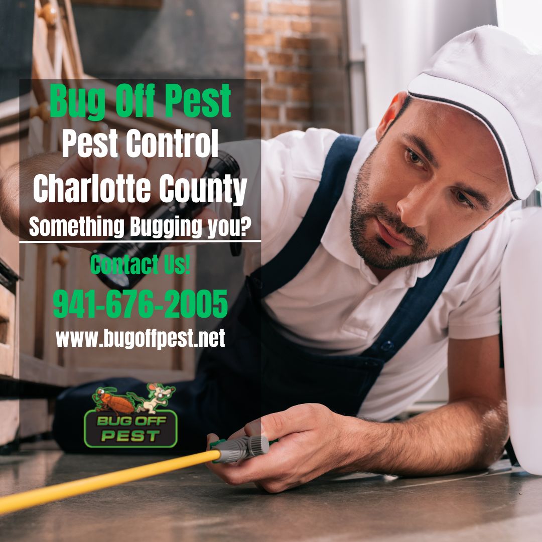 Commercial Pest Control Port Charlotte