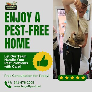 Customized Termite Services in Englewood