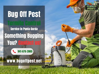 Comprehensive Pest Inspections in Punta Gorda