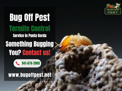 Eco-Friendly Termite Control in Punta Gorda