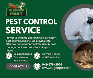 Professional Termite-Free Experts in Humane Rodent Removal in Charlotte County